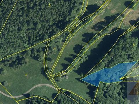 Prodej trvalého travního porostu, Stráž nad Ohří, 2731 m2