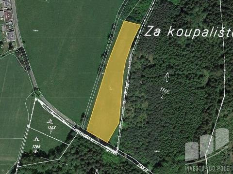 Prodej trvalého travního porostu, Březová, 6281 m2