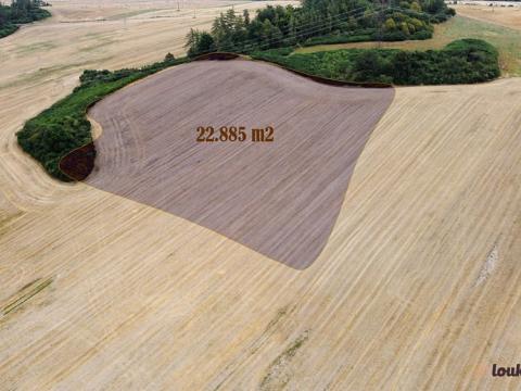 Prodej zemědělské půdy, Blovice, 22885 m2