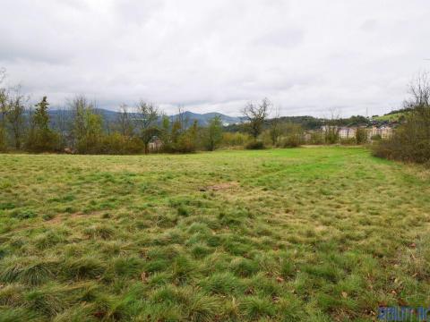 Prodej louky, Ústí nad Labem - Neštěmice, Na Skalce, 3966 m2