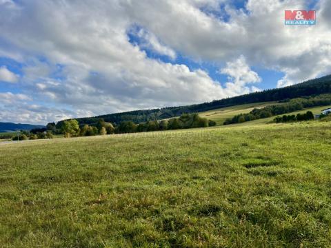 Prodej pozemku pro bydlení, Králíky - Dolní Boříkovice, 44657 m2