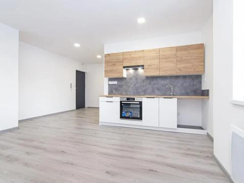 Pronájem bytu 2+kk, Ostrava, Šenovská, 44 m2