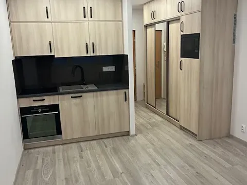 Pronájem bytu 1+kk, Praha - Záběhlice, Jahodová, 30 m2