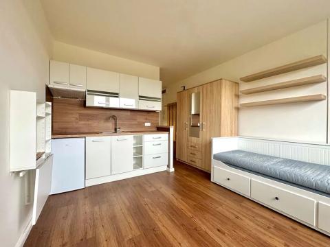 Pronájem bytu 1+kk, Liberec, Na Pískovně, 20 m2