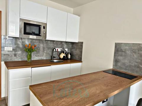 Pronájem bytu 1+kk, Horoměřice, Velvarská, 32 m2