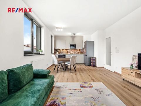 Pronájem bytu 2+kk, Praha - Žižkov, Olgy Havlové, 65 m2