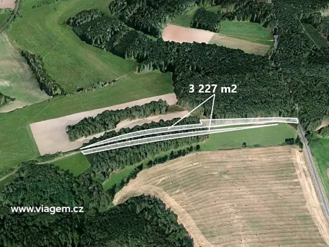 Prodej podílu lesa, Žihle, 1171 m2