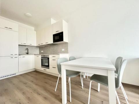 Pronájem bytu 3+kk, Praha - Záběhlice, Choceradská, 74 m2