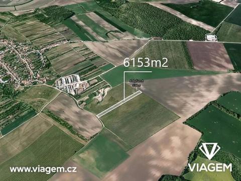 Prodej podílu sadu/vinice, Kobylí, 3418 m2