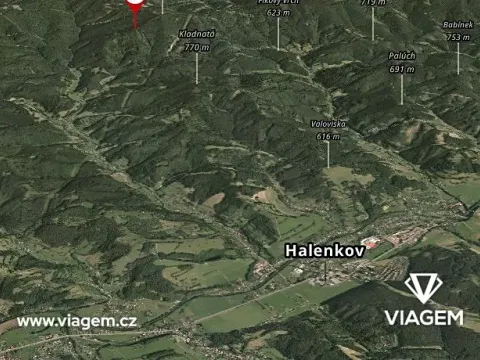 Prodej podílu lesa, Halenkov, 2438 m2