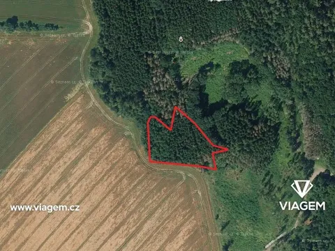 Prodej podílu lesa, Dolní Kralovice, 1544 m2