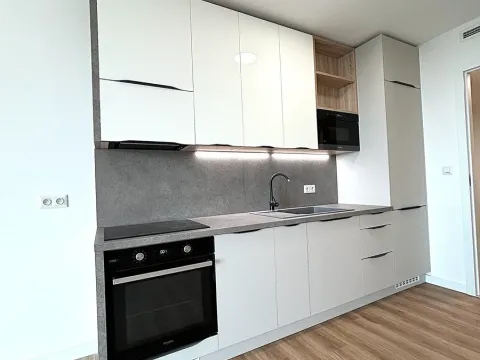 Pronájem bytu 1+kk, Praha - Kobylisy, Vršní, 50 m2