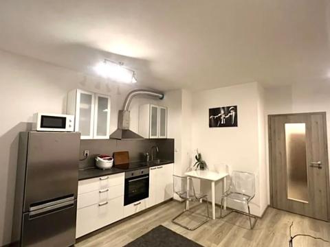 Pronájem bytu 1+kk, Praha - Letňany, Kadečkové, 39 m2