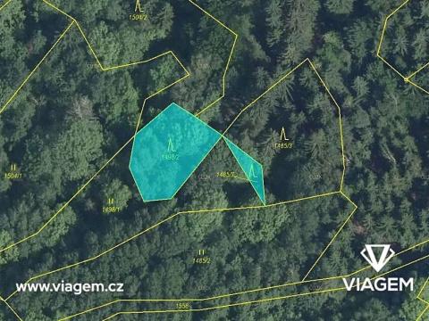 Prodej podílu lesa, Zlatá Olešnice, 242 m2