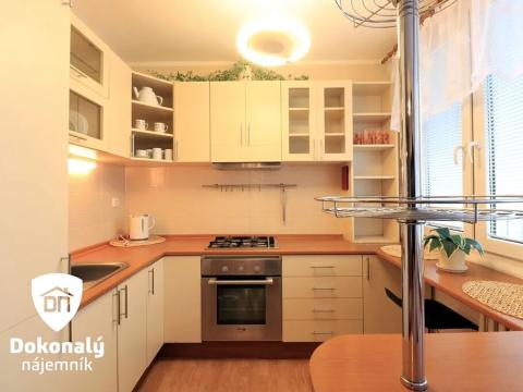 Pronájem bytu 1+kk, Slaný, Arbesova, 43 m2