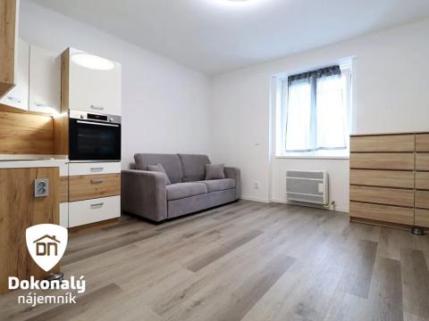 Pronájem bytu 1+kk, Praha - Libeň, U svobodárny, 25 m2