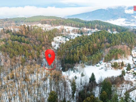 Prodej lesa, Mírová pod Kozákovem - Sekerkovy Loučky, 845 m2