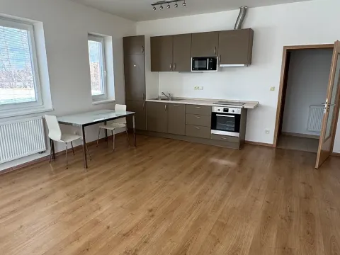 Pronájem bytu 1+kk, Praha - Zličín, Tvrdonická, 46 m2