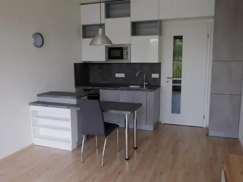 Pronájem bytu 1+kk, Praha - Hodkovičky, Šífařská, 26 m2