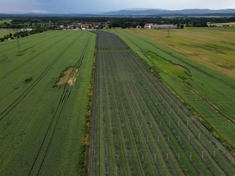 Prodej zemědělského objektu, Čejkovice, 32904 m2