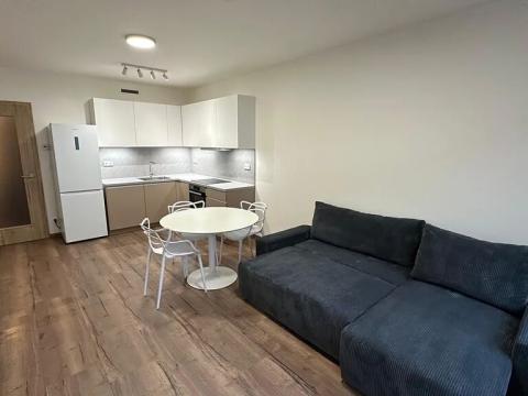 Pronájem bytu 2+kk, Praha - Vysočany, Kolbenova, 57 m2