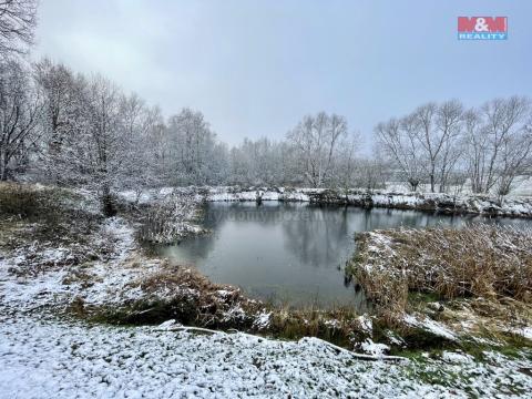 Prodej rybníku, Hrejkovice - Níkovice, 1618 m2