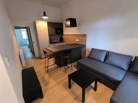 Pronájem bytu 2+kk, Praha - Žižkov, Chlumova, 39 m2