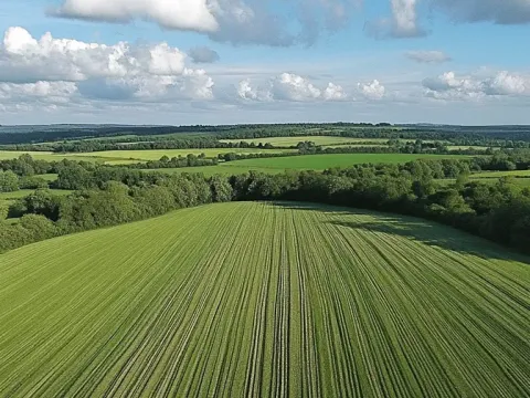 Prodej pole, Pardubice, 8643 m2