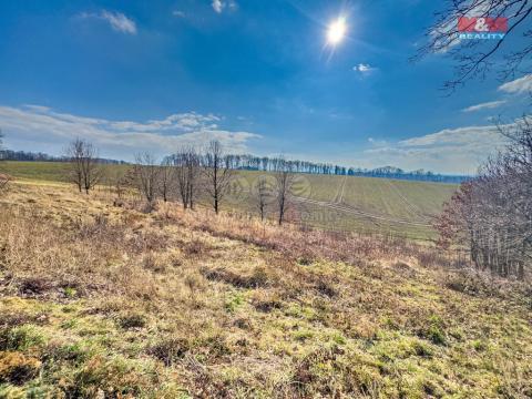 Prodej pozemku pro bydlení, Bílovec, 1. máje, 1298 m2