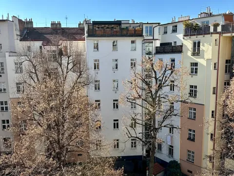 Pronájem bytu 1+1, Praha - Žižkov, Fibichova, 55 m2