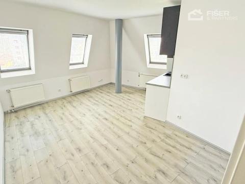 Pronájem bytu 1+kk, Valašské Meziříčí, Křižná, 30 m2