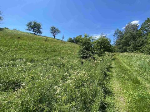 Prodej pozemku, Hartmanice, 9140 m2