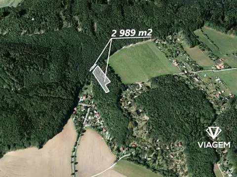 Prodej lesa, Vráž, 2989 m2