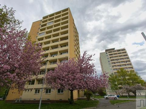 Prodej bytu 1+kk, Litvínov, Mostecká, 22 m2
