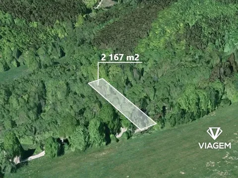 Prodej podílu lesa, Kořenec, 541 m2