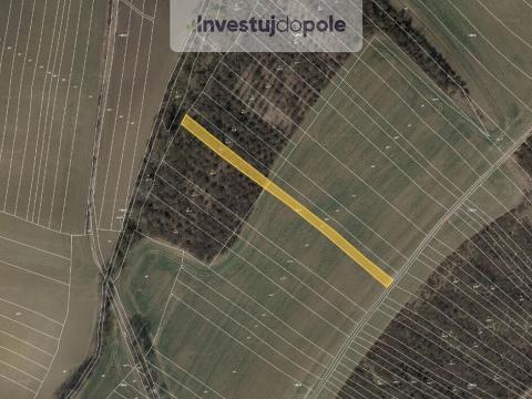 Prodej pole, Honětice, 1539 m2