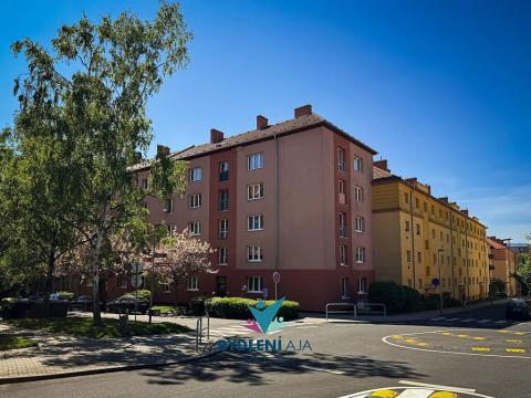 Prodej bytu 3+1, Teplice, Vrázova, 67 m2