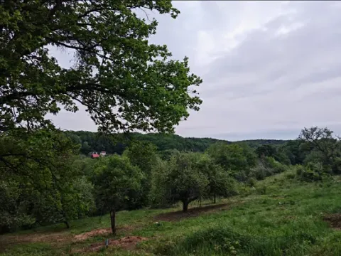 Prodej pozemku pro bydlení, Březnice, 1000 m2