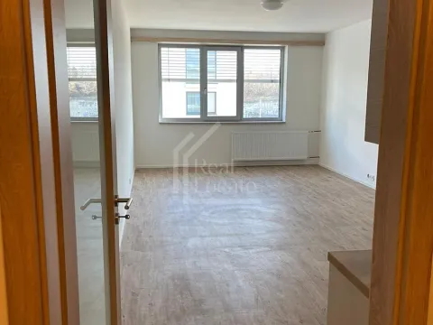 Pronájem bytu 1+kk, Praha - Vršovice, Pod soutratím, 37 m2