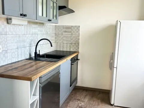 Pronájem bytu 2+1, Praha - Hodkovičky, Údolní, 60 m2