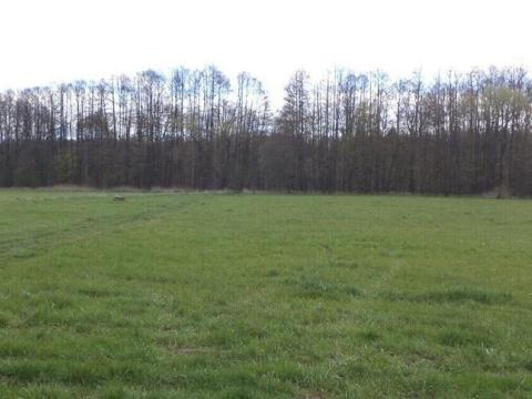 Prodej pole, Tachov, 45730 m2