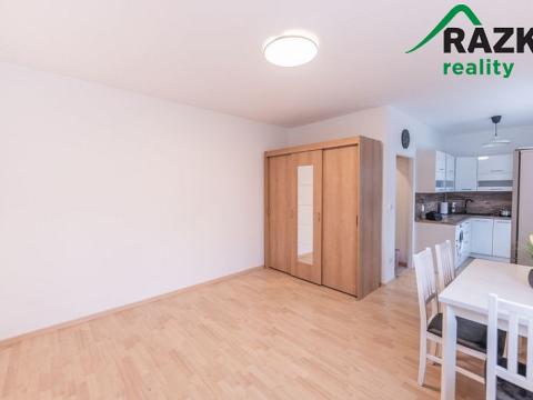 Pronájem bytu 1+kk, Planá, Bohušova, 30 m2
