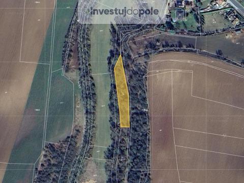 Prodej louky, Přistoupim, 1041 m2