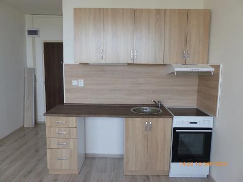Pronájem bytu 1+kk, Litvínov, Mostecká, 24 m2