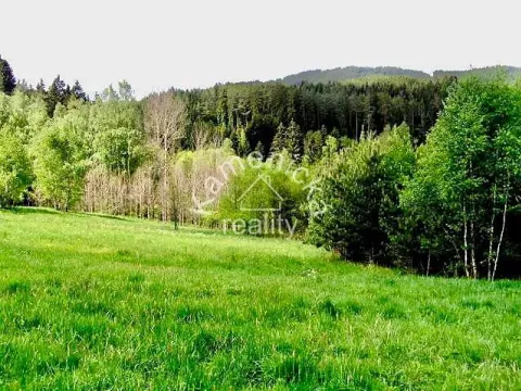 Prodej pozemku pro bydlení, Malšín, 113244 m2
