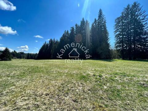 Prodej pozemku pro bydlení, Černá v Pošumaví, 3027 m2