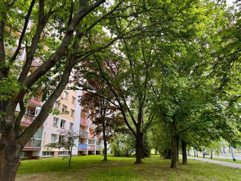 Pronájem bytu 1+kk, Pardubice, Brožíkova, 38 m2