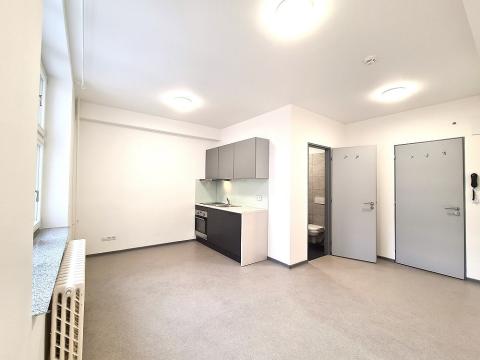 Pronájem bytu 1+kk, Brno, Dominikánské náměstí, 23 m2
