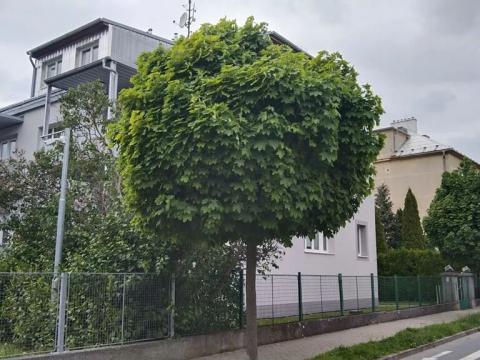 Prodej bytu 3+kk, Holešov, Národních bojovníků, 60 m2