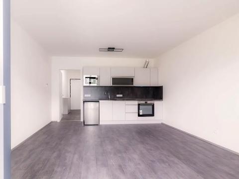 Pronájem bytu 1+kk, Praha - Žižkov, Hartigova, 31 m2
